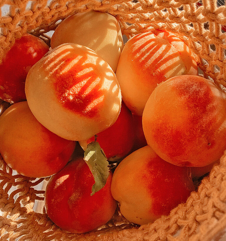 confiture abricot dans un panier dans un verger local